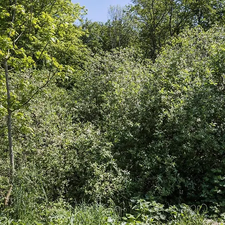 3 Bedroom Gorgeous In بيت للعطل